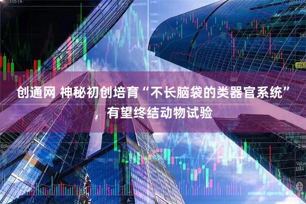 创通网 神秘初创培育“不长脑袋的类器官系统”，有望终结动物试验